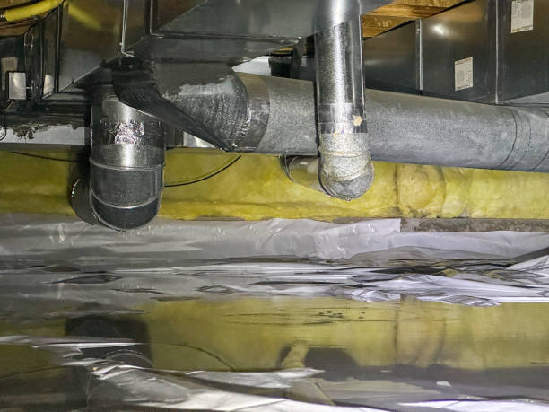Best Water damage restoration near me  in Ocean Park, WA