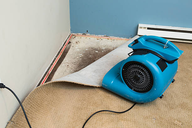 Best Flood restoration services  in Ocean Park, WA